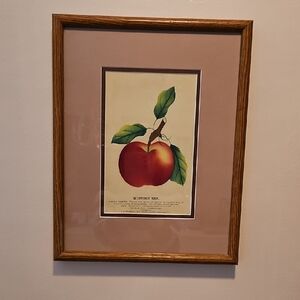 Antique Fruit Print